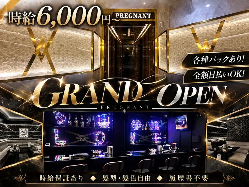 Girls Bar & Lounge　pregnantのアルバイト・バイト求人情報