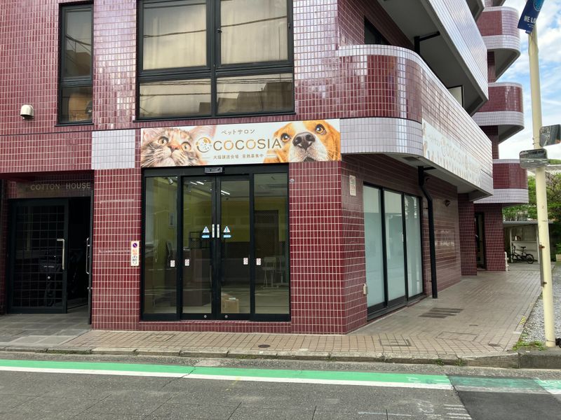 株式会社デジタルモンキーズの求人・転職情報