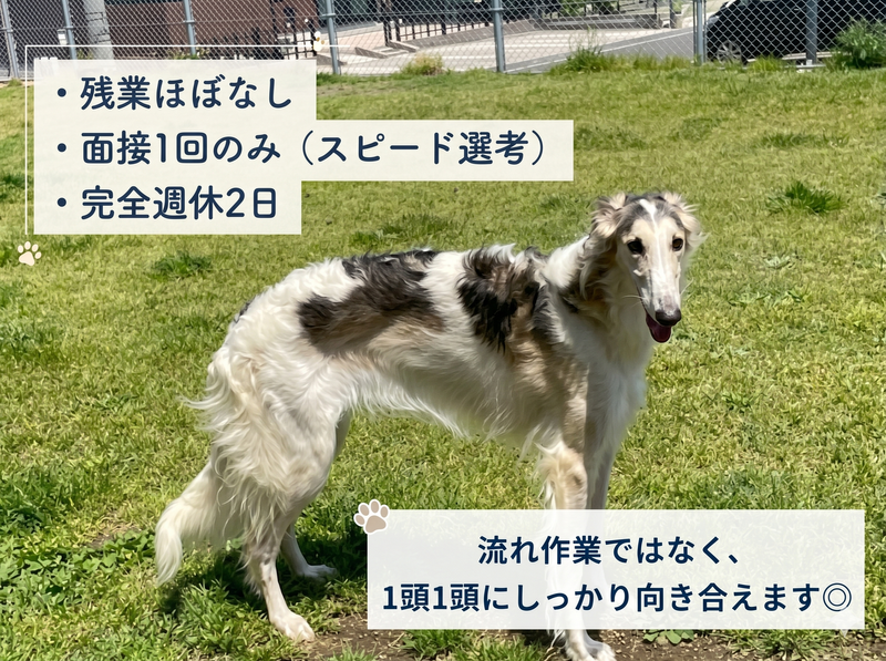 医生ケ丘動物病院の求人・転職情報