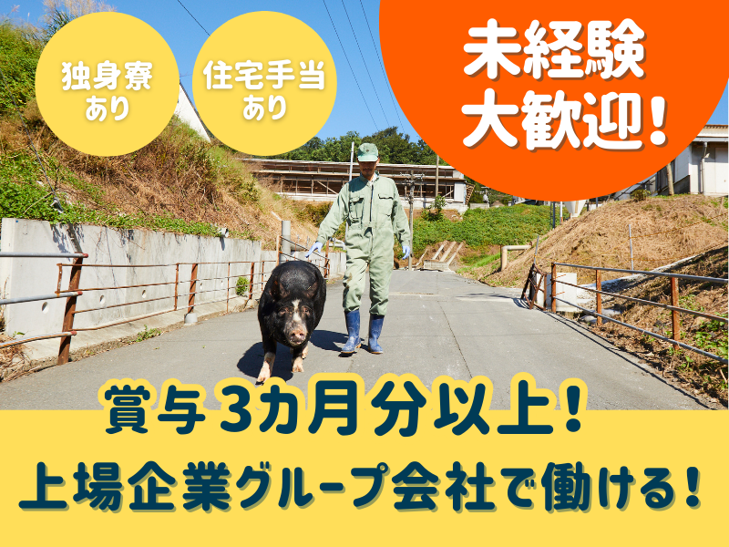 キリシマドリームファーム株式会社の求人・転職情報