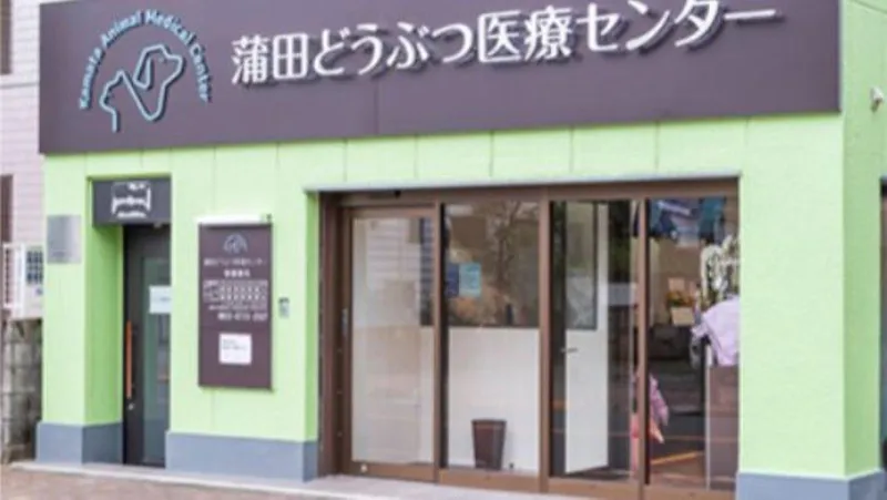 株式会社エースカンパニーの求人・転職情報