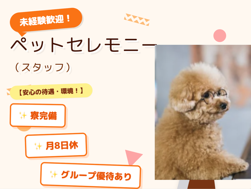 華藏寺の求人・転職情報