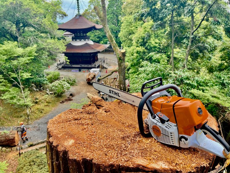 株式会社アーボプラスの求人・転職情報