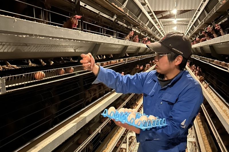 株式会社小林の求人・転職情報