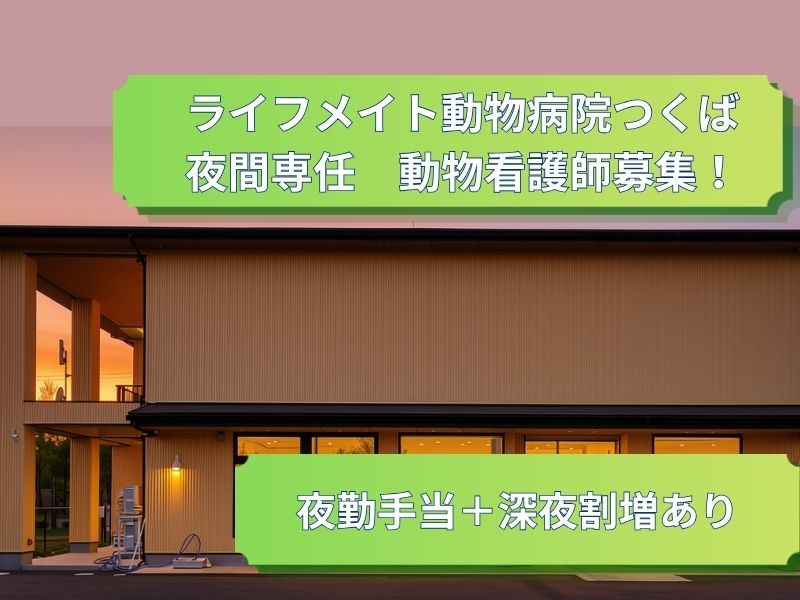 株式会社ライフメイトの求人・転職情報
