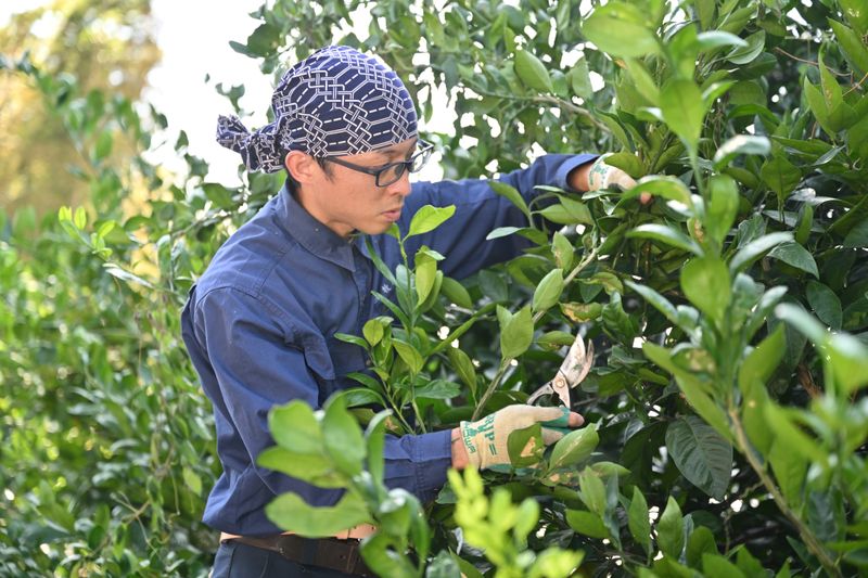 株式会社牧野造園の求人・転職情報