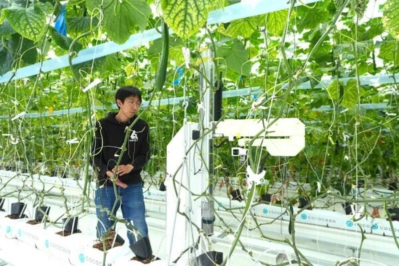 AGRIST株式会社の求人・転職情報