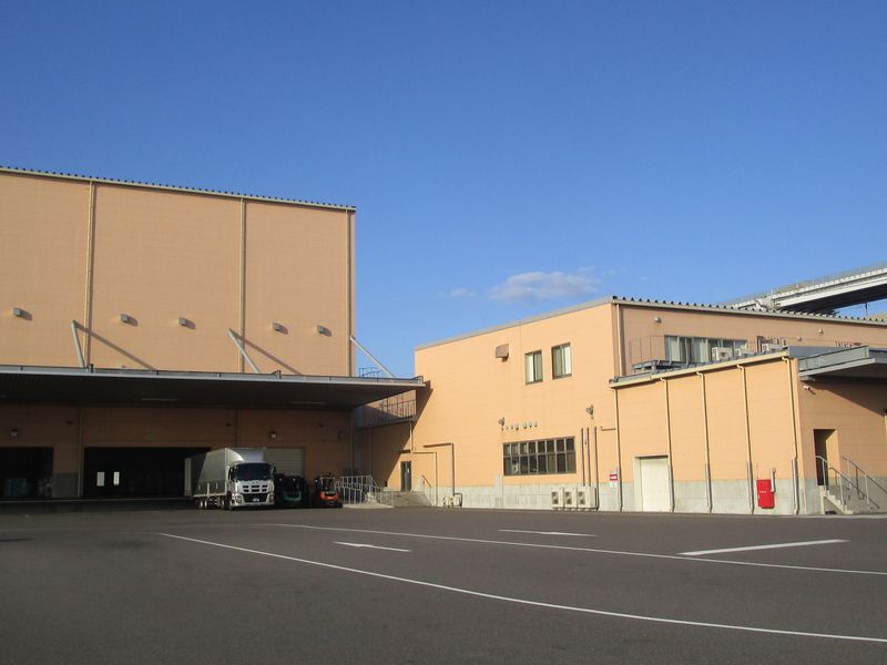 国際セーフティー株式会社の求人・転職情報