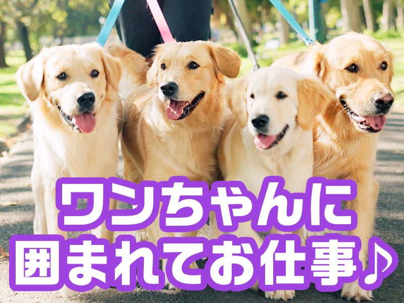  株式会社ユニマット ドギーズアイランドの求人・転職情報