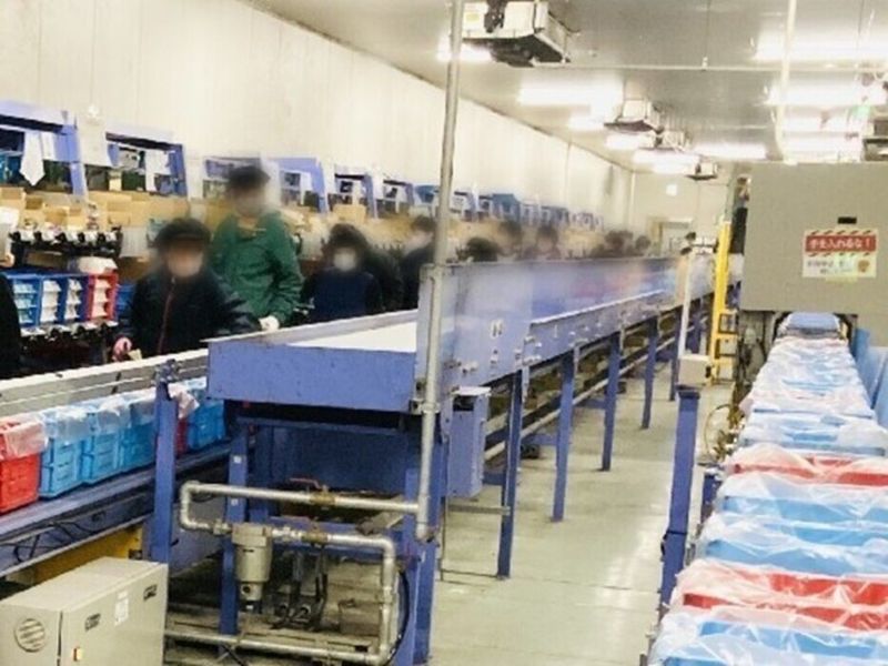株式会社パルライン　岩槻センターのアルバイト・バイト求人情報-01