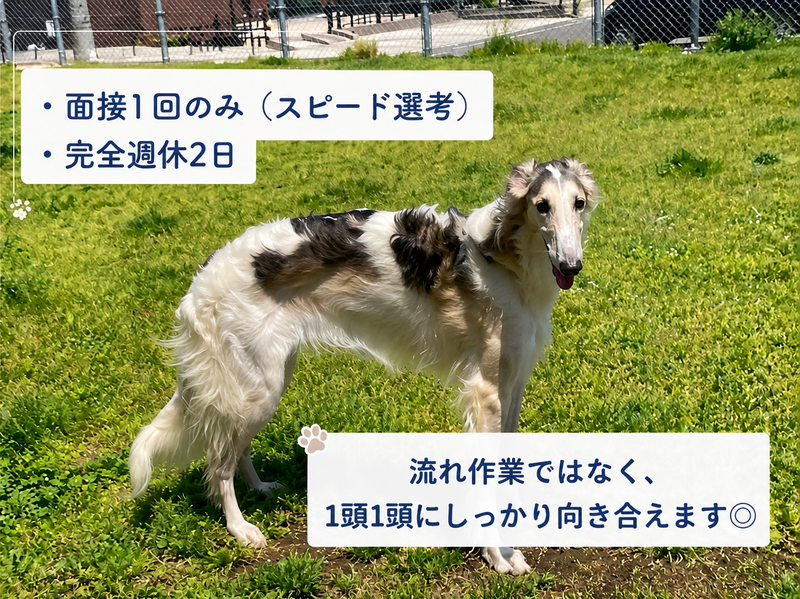 医生ケ丘動物病院の求人・転職情報