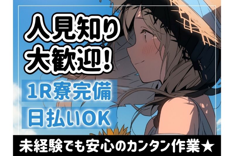 株式会社ジョブスルの求人・転職情報