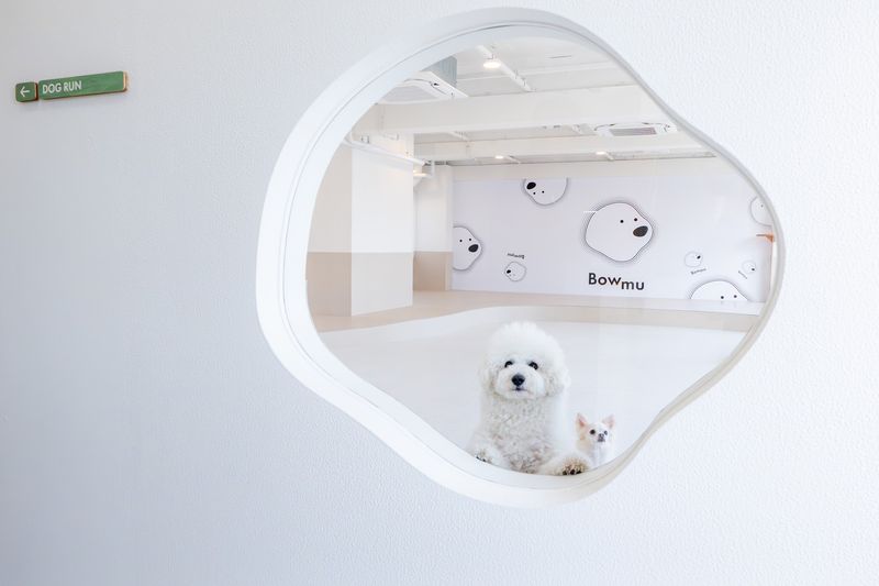 (株)MIJウエルネスの求人・転職情報