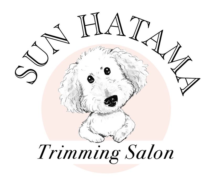 藤沢はたま犬猫病院-0002の求人・転職情報