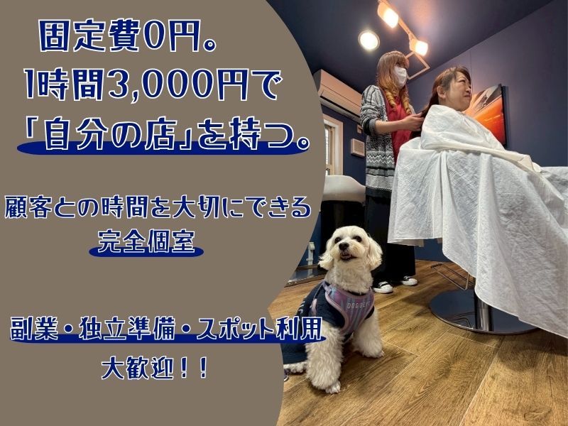 有限会社ティーアイクラシックの求人・転職情報