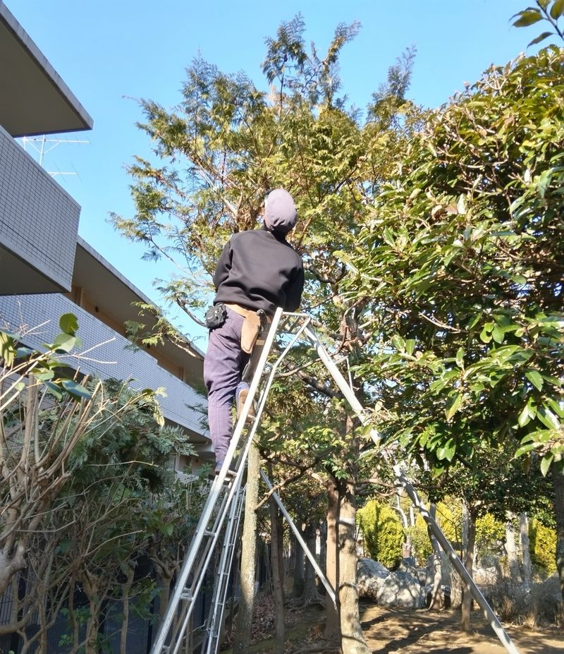 山科創園の求人・転職情報