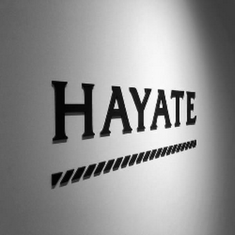 ハヤテインベストメント株式会社の求人・転職情報