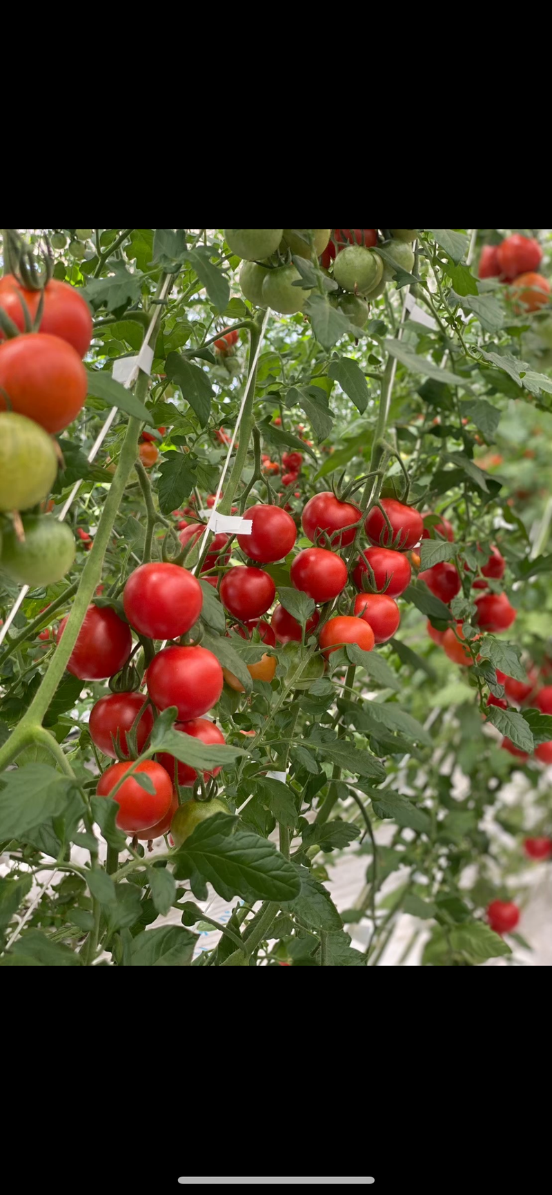 共進株式会社の求人・転職情報