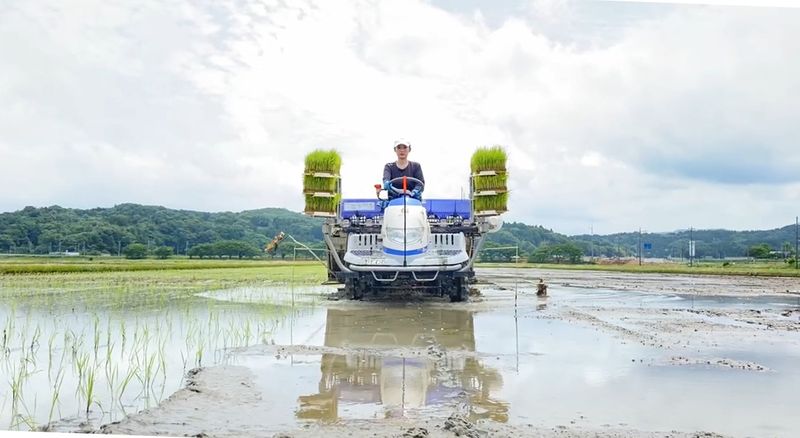 株式会社 加賀米野菜基地の求人・転職情報