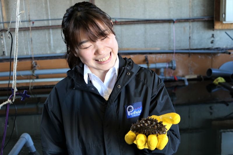 留萌市の求人・転職情報