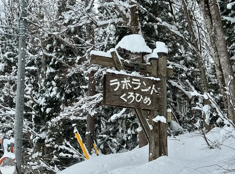 Laboland kurohimeの求人・転職情報