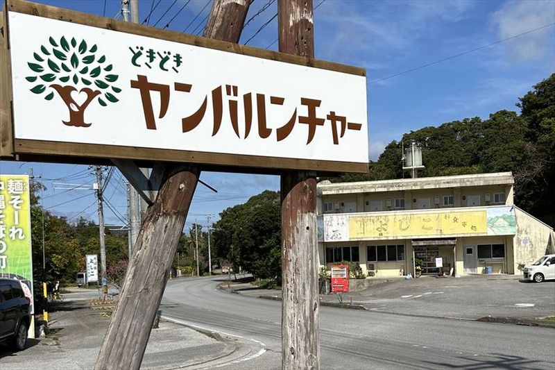 株式会社沖縄どきどきツアーズの求人・転職情報