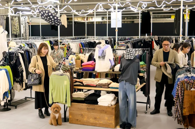株式会社antiquaの求人・転職情報