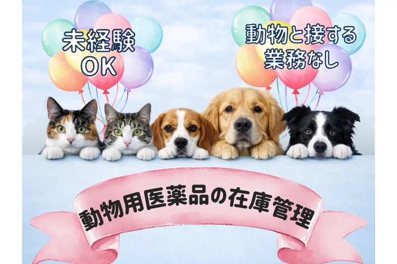 有限会社ブイアンドジィ
