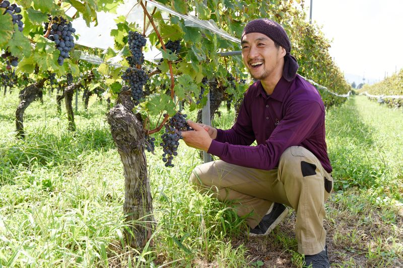 株式会社ルミエールの求人・転職情報