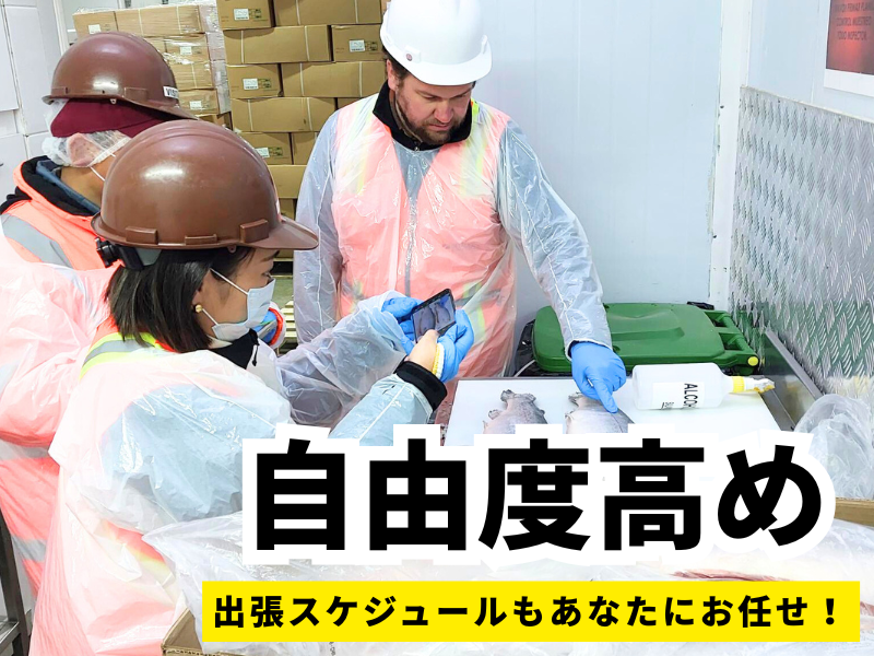 株式会社マリネットの求人・転職情報