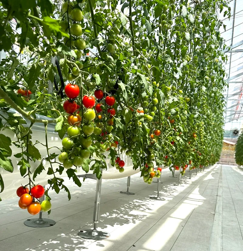 universal Agriculture Support 合同会社の求人・転職情報