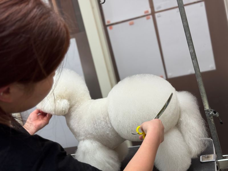 株式会社Ｖｉｆの求人・転職情報