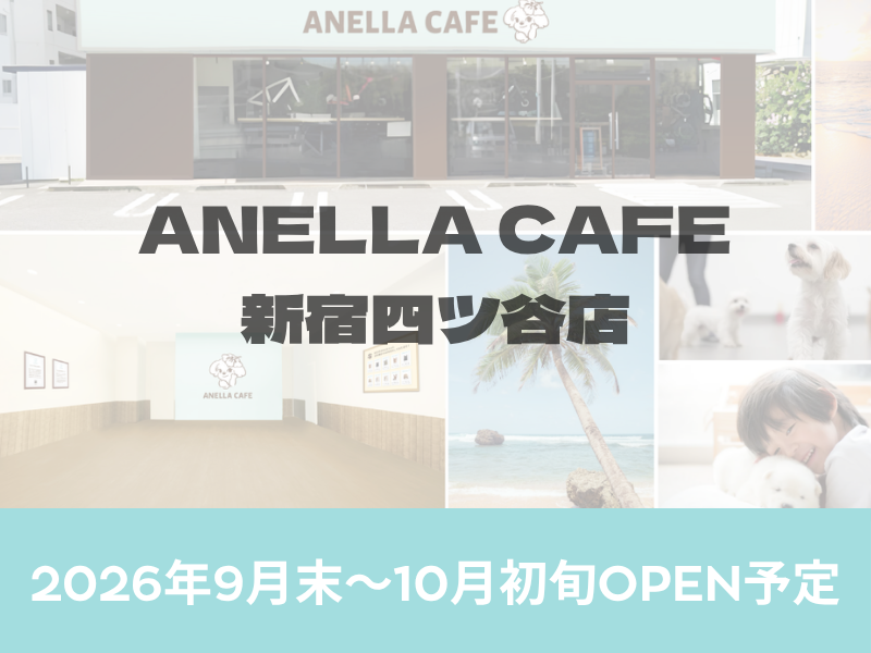 株式会社ANELLA Groupの求人・転職情報