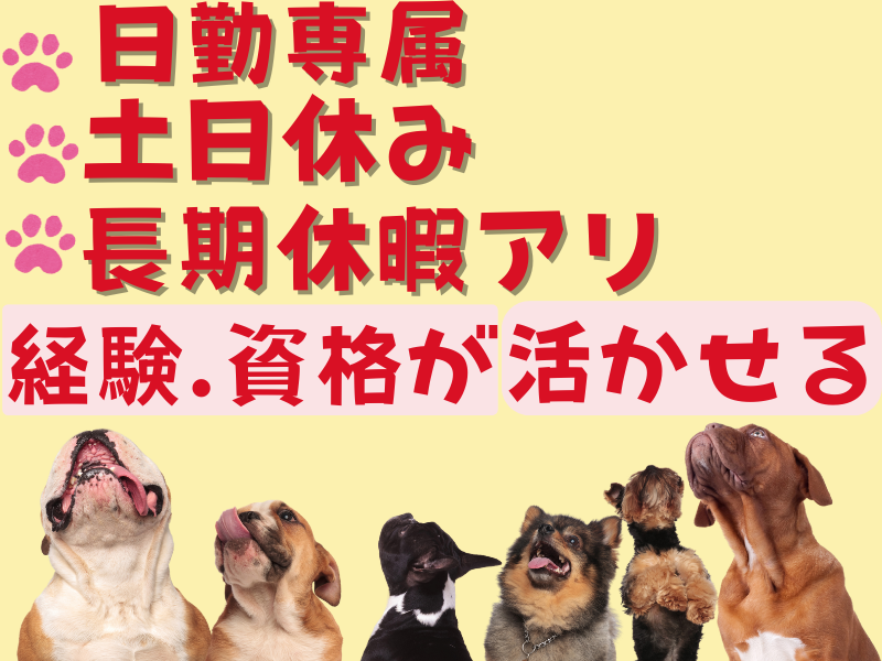 株式会社ワールドインテック