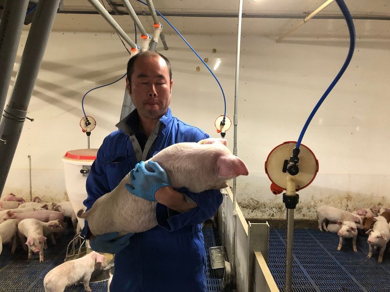 株式会社ヒラノの求人・転職情報