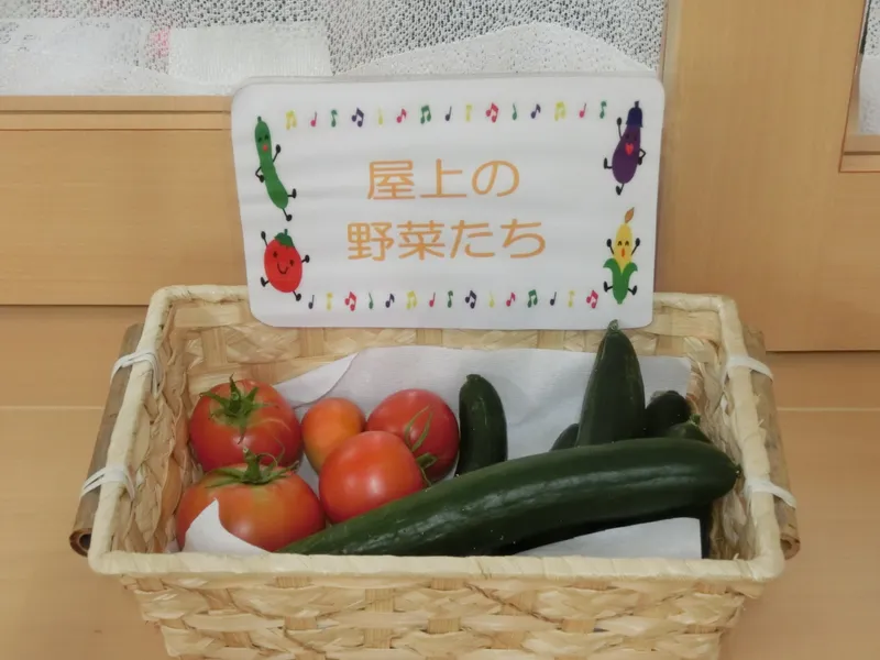 特定非営利活動法人きらきら福祉会の求人・転職情報