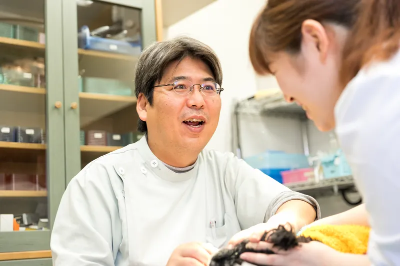 合同会社ごとふ動物病院の求人・転職情報