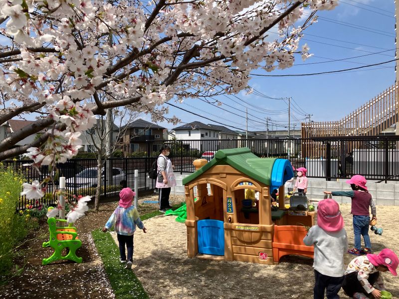 学校法人柏こばと学園の求人・転職情報