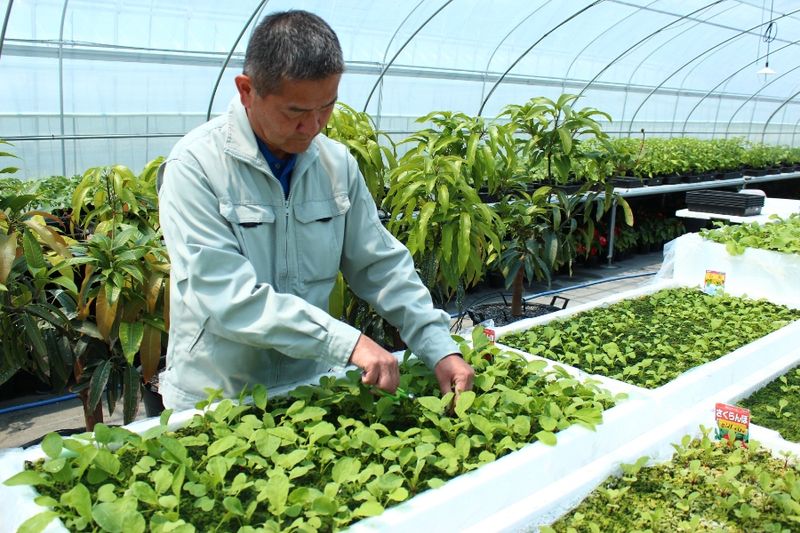 留萌市の求人・転職情報