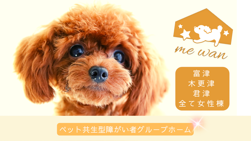 株式会社Stellar education gardenの求人・転職情報