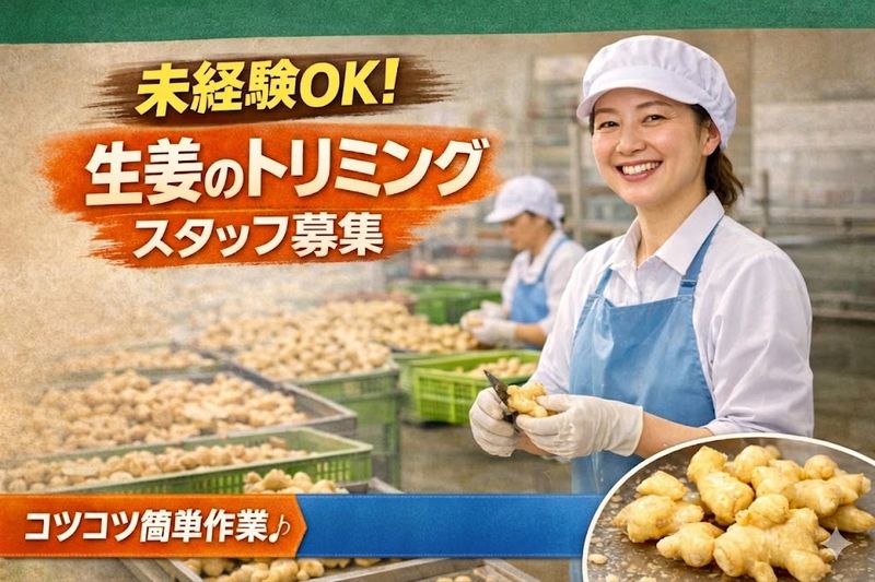 株式会社ウェルプレイスの求人・転職情報