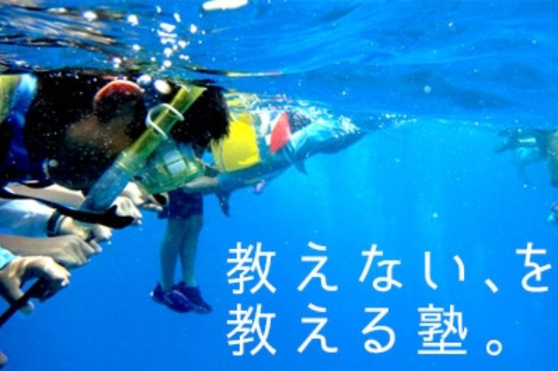 株式会社ティエラコムの求人・転職情報