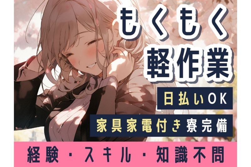 株式会社アルミラ
