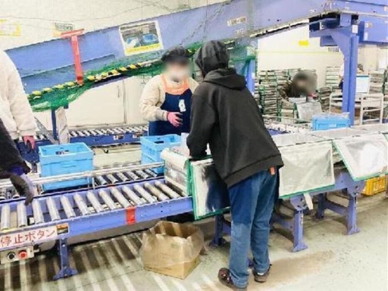 株式会社パルライン　岩槻センターのアルバイト・バイト求人情報-04