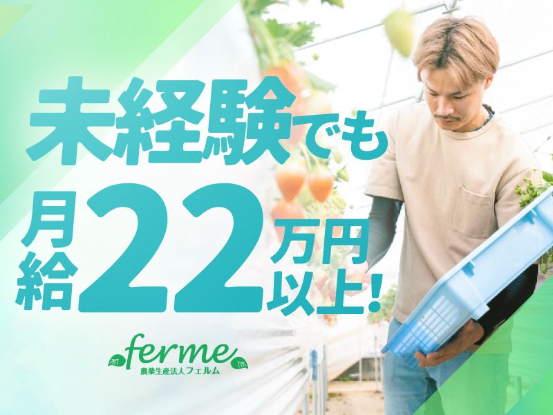 株式会社ｆｅｒｍｅの求人・転職情報