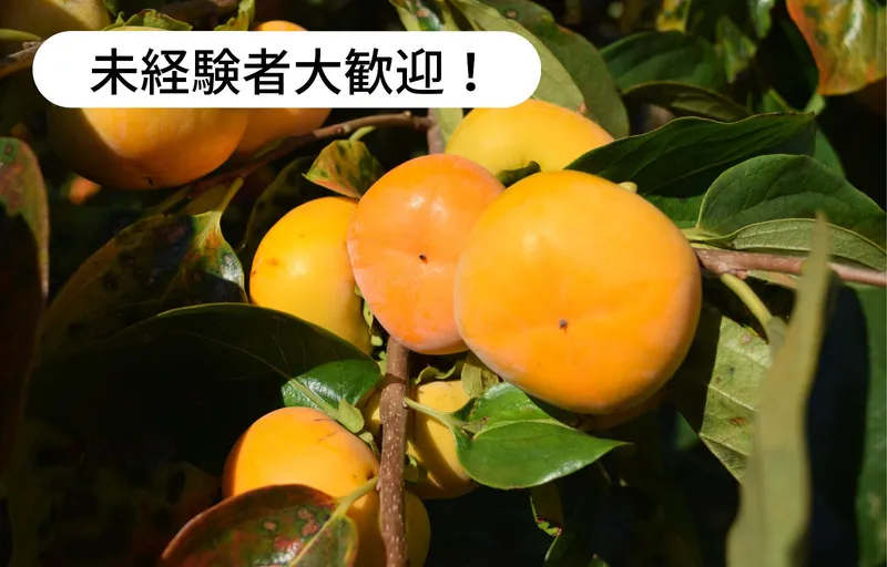 三誠のアルバイト・バイト求人情報