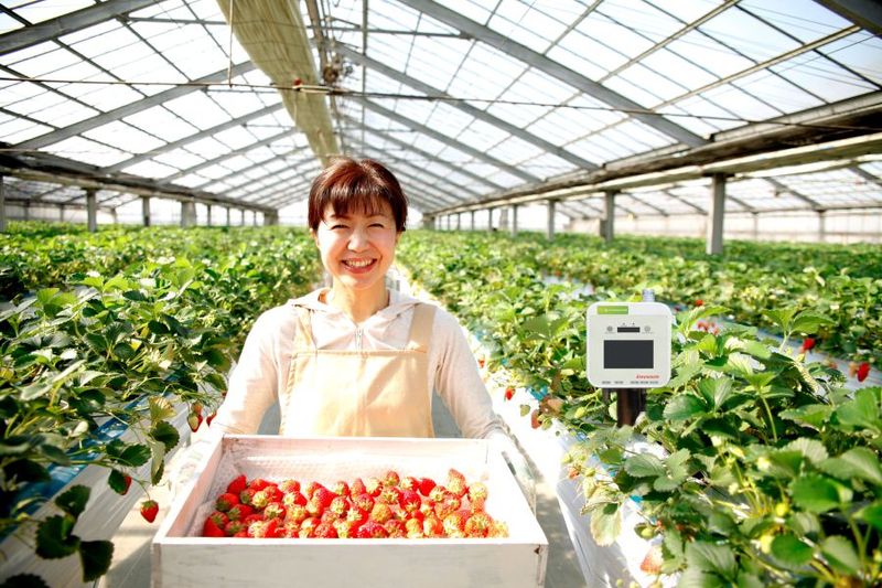 グリーン株式会社の求人・転職情報