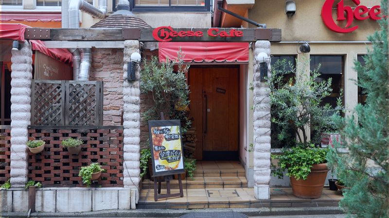 白樺フードサービス株式会社の求人・転職情報