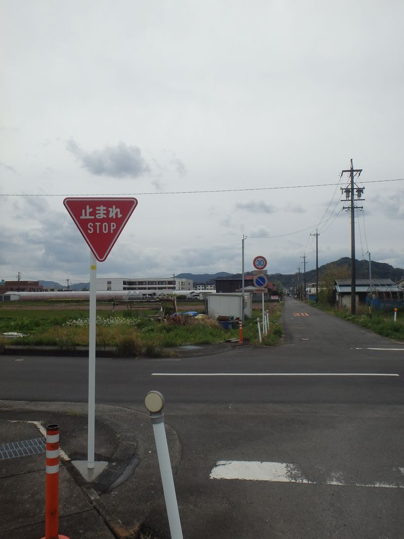 株式会社コスモラインの求人・転職情報