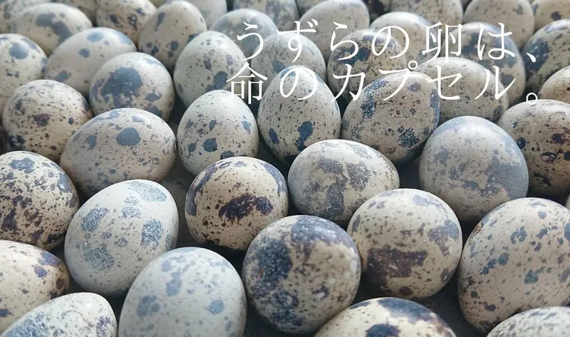 有限会社浜名湖ファームのアルバイト・バイト求人情報